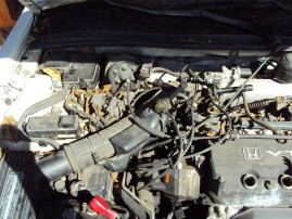 1994 HONDA ACCORD EX, 2.2L AUTO SDN, COLOR WHITE, STK A15197